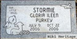 Stormie Gloria Ileen Purkey