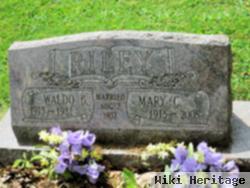 Mary C Riley