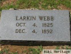 Larkin Webb