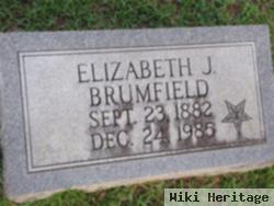 Elizabeth Jenkins Brumfield