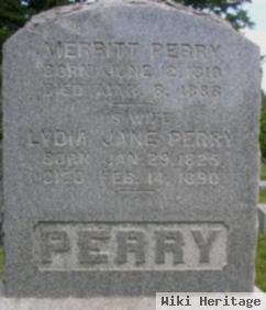 Merritt Perry