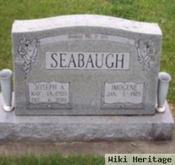 Joseph Alexander "joe" Seabaugh