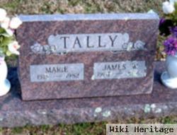 Willie Marie Eliza Finley Tally