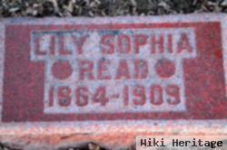 Lily Sophia Williams Read