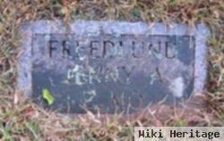 Jennie A Freedlund