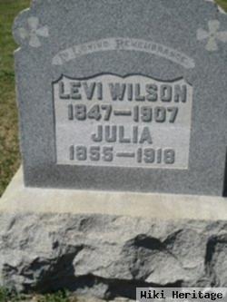 Levi Wilson