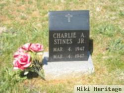 Charlie A Stines, Jr