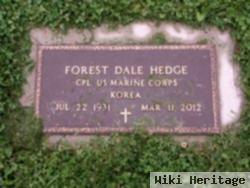 Forest Dale Hedge