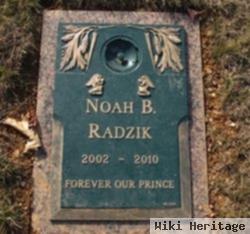 Noah Blake Radzik