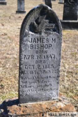 James M Bishop