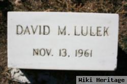 David M. Lulek