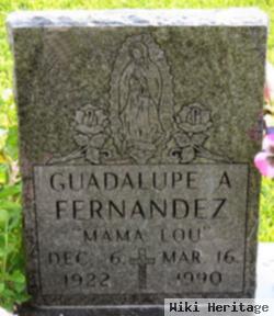 Guadalupe A Fernandez