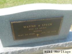 Wayne A Speck