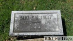 Bert Mattingly