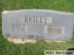 William B Briley