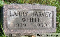 Larry Harvey White