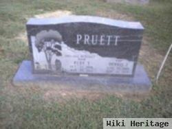 Dennis I Pruett