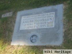 Axel H. Johnson