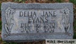 Delia Jane Leonard Evans