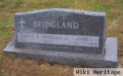 James Lee Bridgland