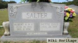 Albert Van Buren Salter