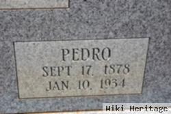 Pedro Field