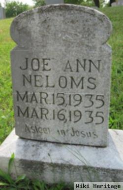 Joe Ann Neloms