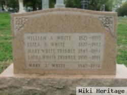 William A White