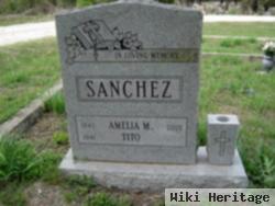 Amelia M. Sanchez