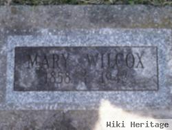 Mary Ann Dean Wilcox