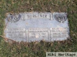 Jane H Burgener