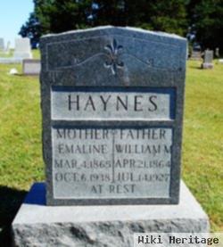 William M Haynes