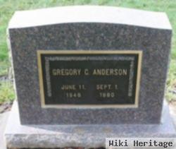 Gregory C Anderson