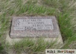 Elizabeth A "lizzie" Nation Williams Ferguson