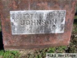 Robert M Johnson