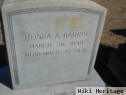 Hosea Altana George King Harris