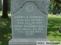 Phebe Shumway Rice