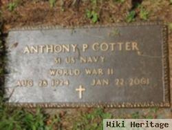 Anthony P. Cotter