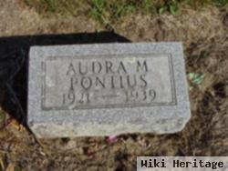 Audra M Pontius