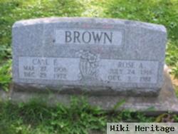 Carl Brown