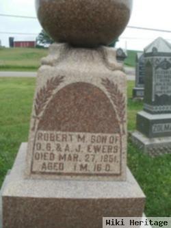 Robert M Ewers