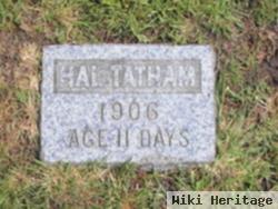 Hal Tatham