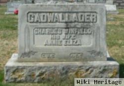 Annie Elizabeth Newland Cadwallader