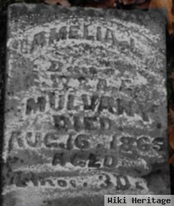 Amelia L. Mulvany