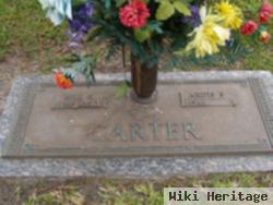 Ardis S. Carter Severn