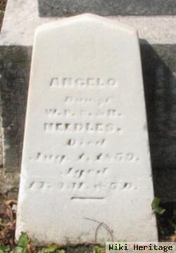 Angelo Needles