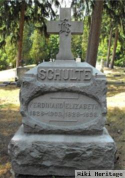 Ferdinand Schulte