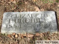 Elizabeth Burchill Schook