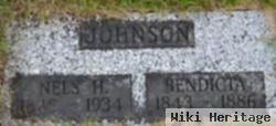 Nels H. Johnson