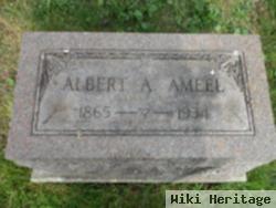 Albert A. Ameel